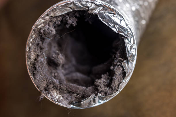 Reliable SC Airduct Cleaning Solutions